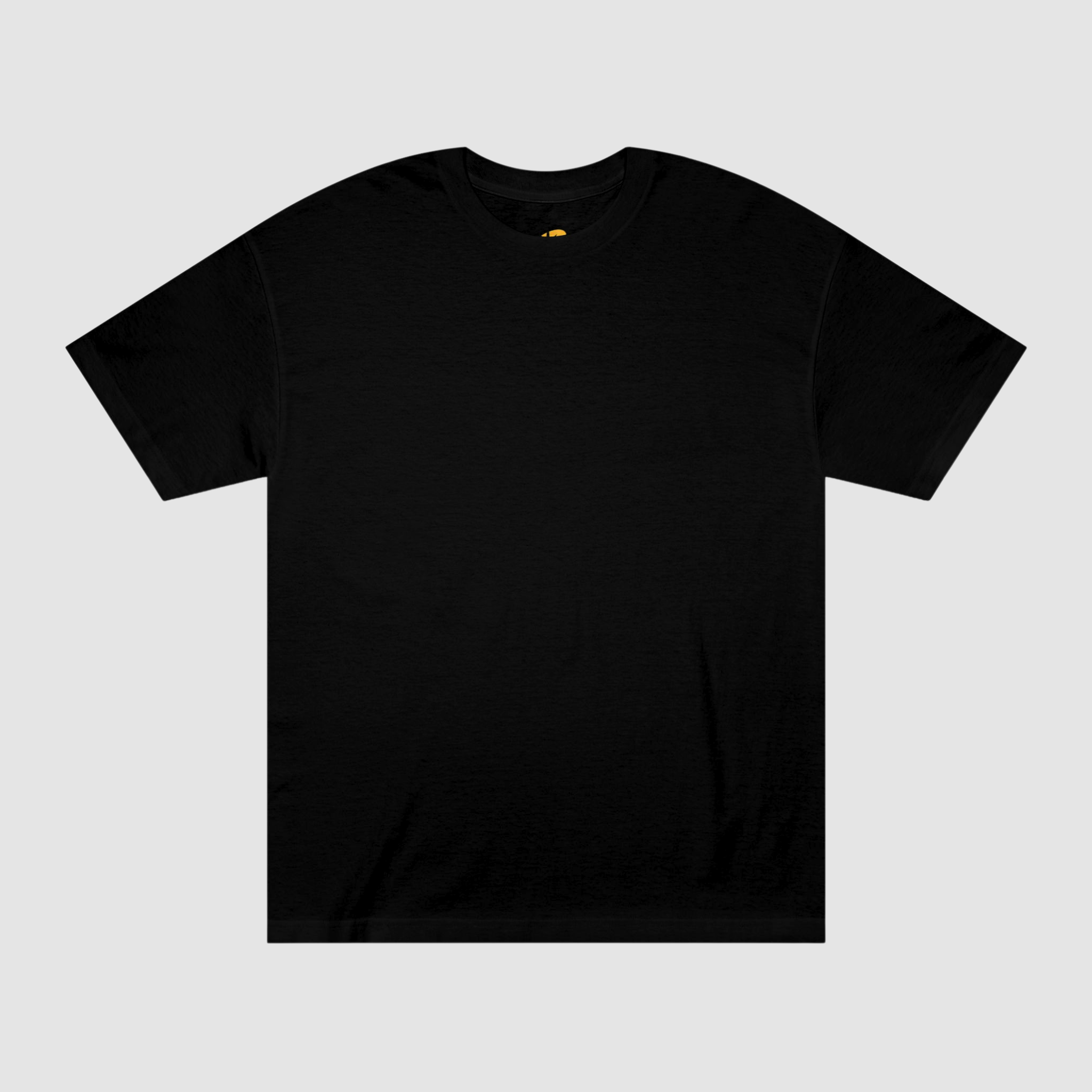 RACING IN THE SKY T-SHIRT