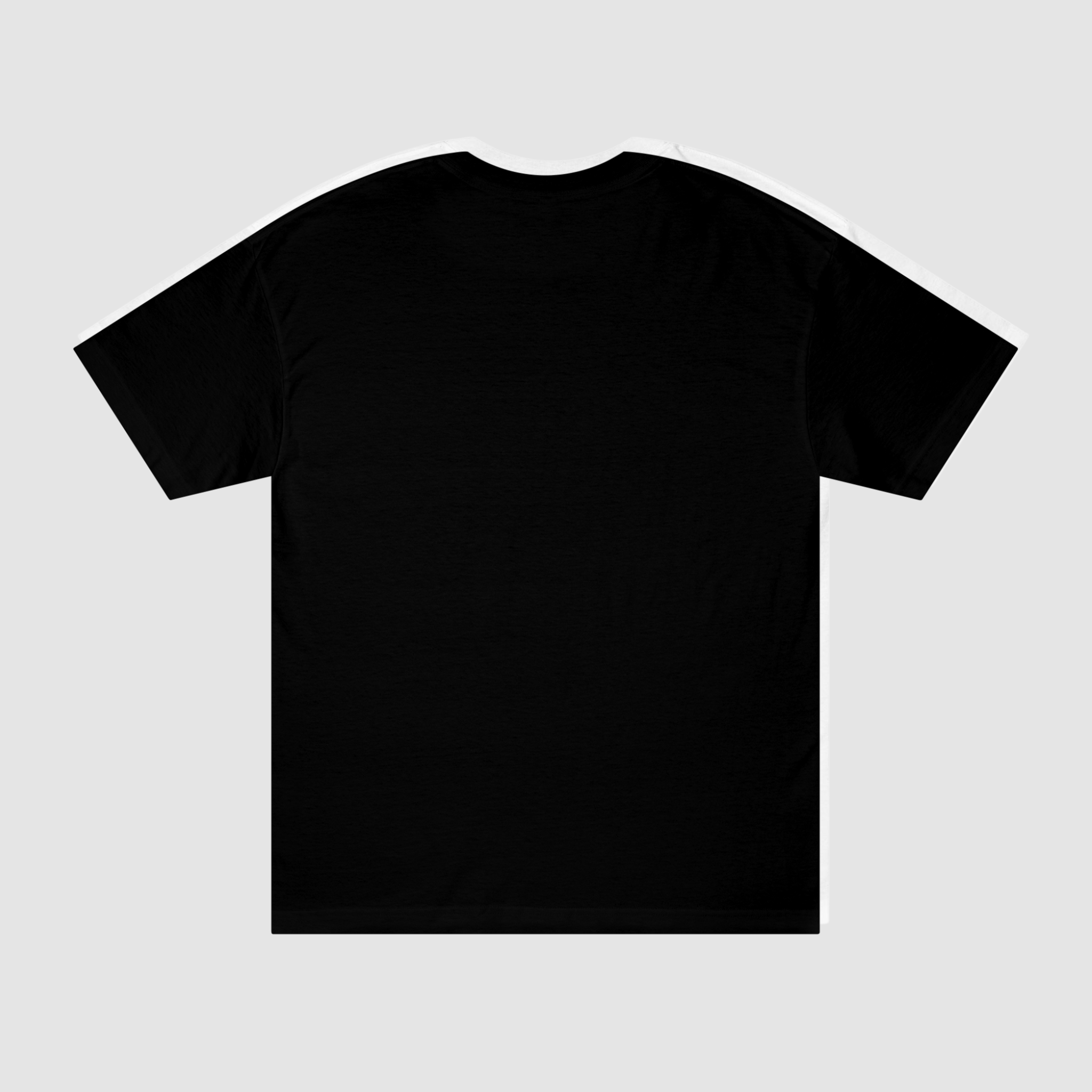 CLASSIC BEAUTY & STEEL T-SHIRT